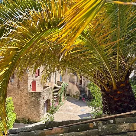 Quiet Street In Old - Terrace, 250m To *